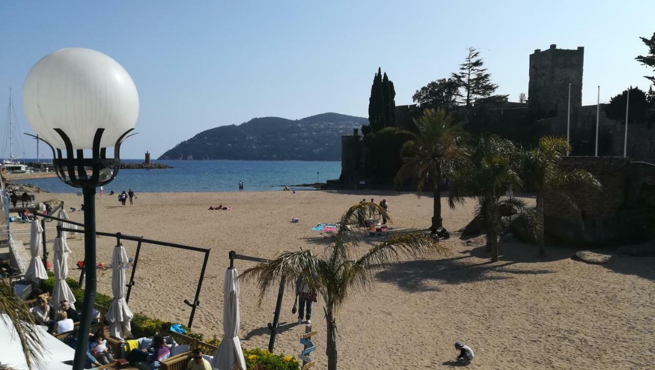 Home Tranquille Dans La Cite Du Mimosa - 2 Etoiles - Axelle Loc'Appart Mandelieu Εξωτερικό φωτογραφία