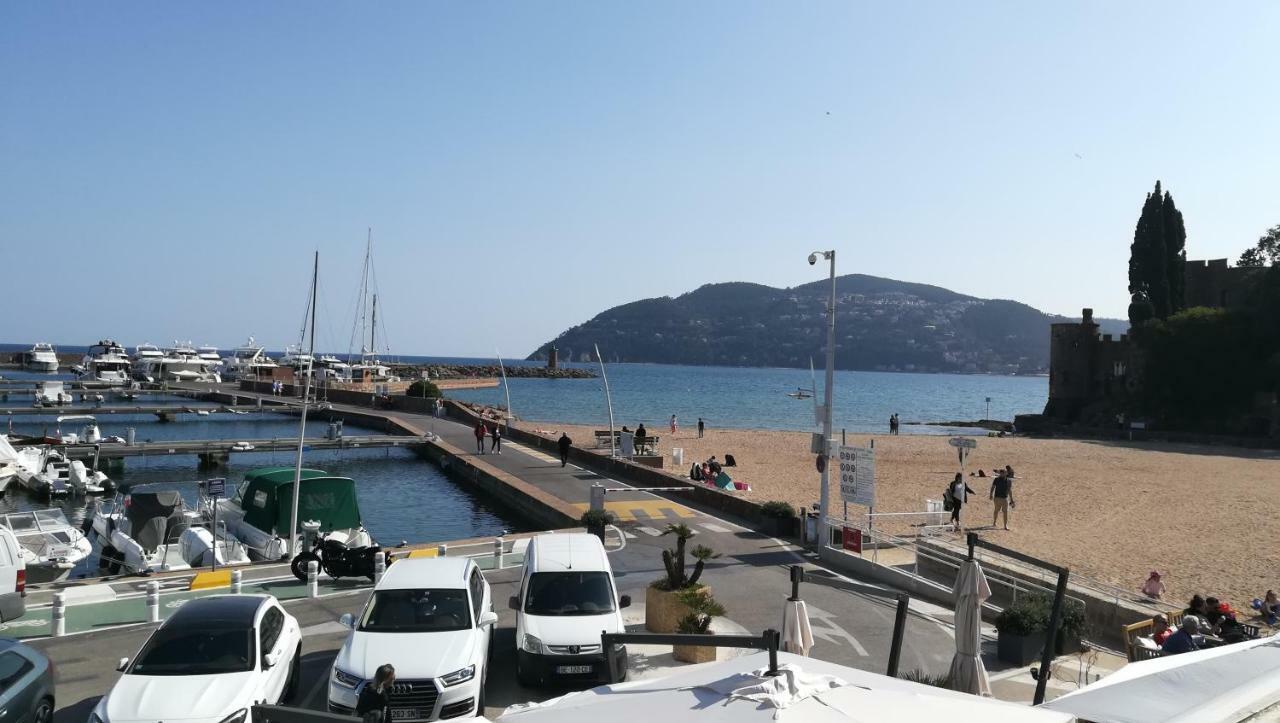 Home Tranquille Dans La Cite Du Mimosa - 2 Etoiles - Axelle Loc'Appart Mandelieu Εξωτερικό φωτογραφία